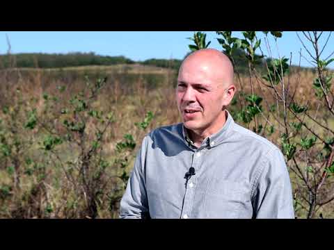 Višnja na prekretnici - krčenje voćnjaka ili povećanje prinosa uz racionalizaciju proizvodnje