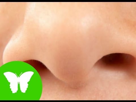 La Eduteca - Los sentidos: el olfato