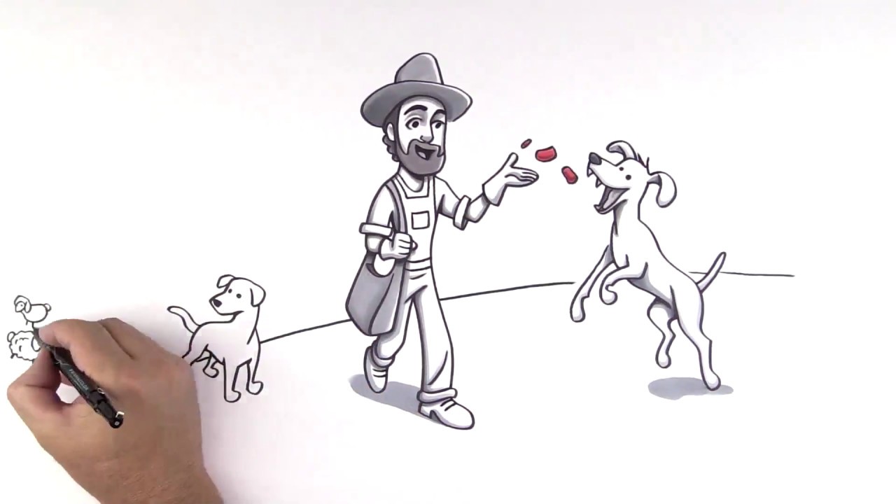 The History Of Dog Food | TruDog