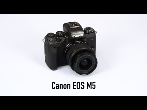 Cameta Camera SNAPSHOTS - Canon EOS M5 Mirrorless Digital Camera