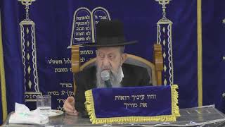 הרב בן ציון מוצפי • סודאי שידור חי (הרב בן ציון מוצפי) - התמונה מוצגת ישירות מתוך אתר האינטרנט יוטיוב. זכויות היוצרים בתמונה שייכות ליוצרה. קישור קרדיט למקור התוכן נמצא בתוך דף הסרטון