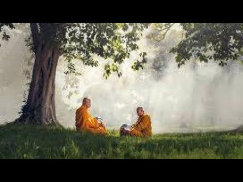 Monk Meditation  Muse Video  bhudhist  Meditation muse video