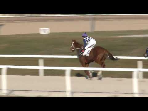 Amatőrverseny HP 1600m