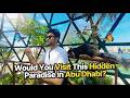 Abu Dhabi Butterfly Garden Tour Worth Visiting