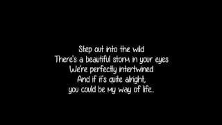 Into the Wild- Lewis Watson Lyrics