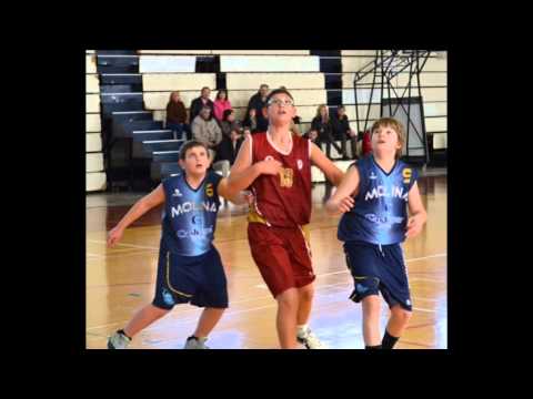 Molina Basket - Infantil Masculino 13-14