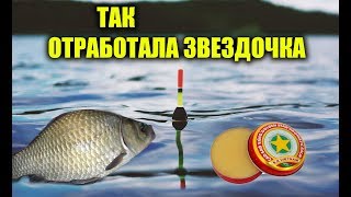 Как мазь звездочка влияет на клев карася