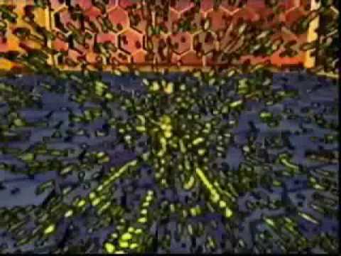 Gary D. - D.Trance 7 - TV Spot (1997)