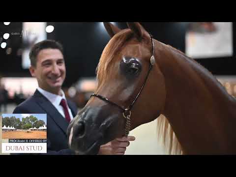 Lebanese AH Championship 2023   Class JFC