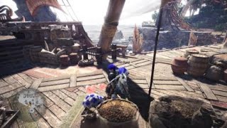 Mhw 幻の鳥 フワフワクイナ の捕獲場所 トロフィー フワフワな抱きごこち تنزيل الموسيقى Mp3 مجانا