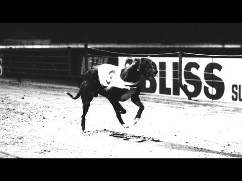 FROM LAST TO FIRST | Scurlogue Champ's Best Finishes