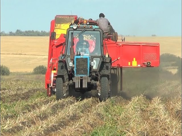 Урожайность - 300 центнеров