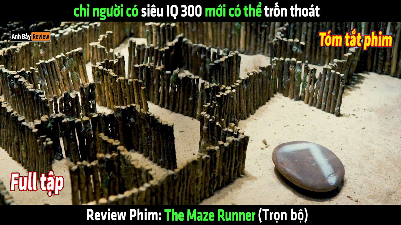 The Maze Runner Franchise Expands: What We Know About the Upcoming Film