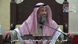 1472 - فصل في الحجر على السفيه والصغير والمجنون - عثمان الخميس