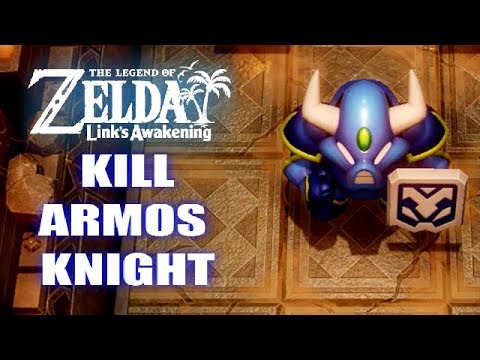 THE LEGEND OF ZELDA LINK'S AWAKENING - KILL ARMOS KNIGHT