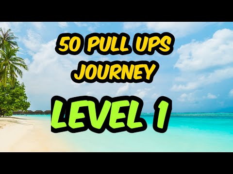50 pull ups Journey / Level 1