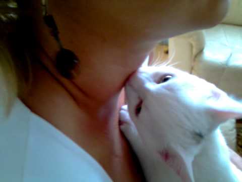 Kitty named Kiss in Lithuanian - Bučkis :)