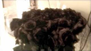 She don&#39;t own me