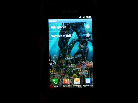 Underwater World Video