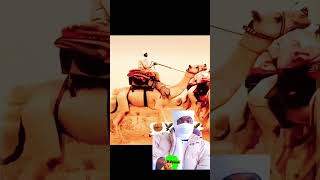 ابوبكر محمد منصور زغاوة بري بور 🔥✊🏿