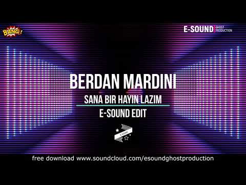 Berdan Mardini - Sana bir hayin lazim ( E-Sound Edit )