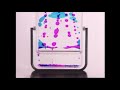 Baby Einstein Language Nursery Oil Drop Music Extended