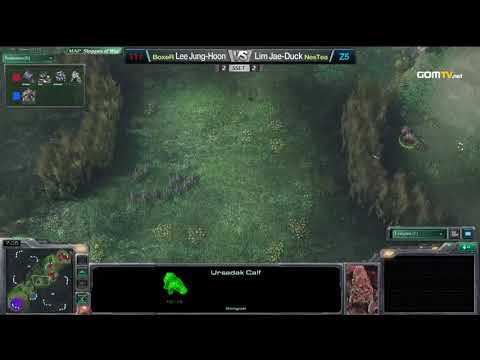 2010 GSL Season 2 Final Set 5   MarineKing vs NesTea