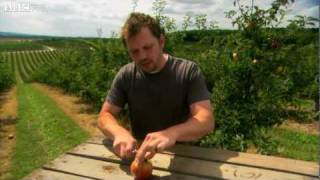 Jimmy's Global Harvest Episode 1 Highlight - BBC Two