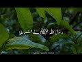 Hadees In Urdu Status For Whatsapp Hadees Status New Video Urdu Hadith Status