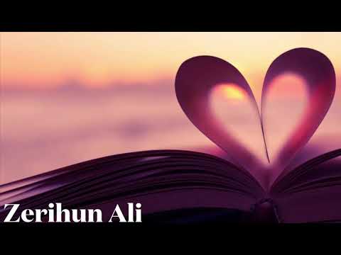 #ethiopiamusic #ethiopia Zerihun Ali Libish Leyla Asebe Wey? / ለብሺ ሌላ አሰበ ወይ?