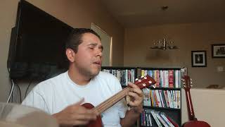 Angel Olsen - Fly On Your Wall (ukulele cover)