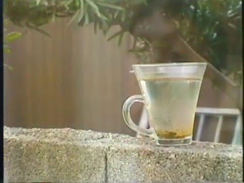 金魚のフン のサムネイル