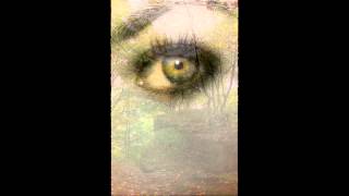 Evanescence - Self Esteem Cover (Unknown Concert)
