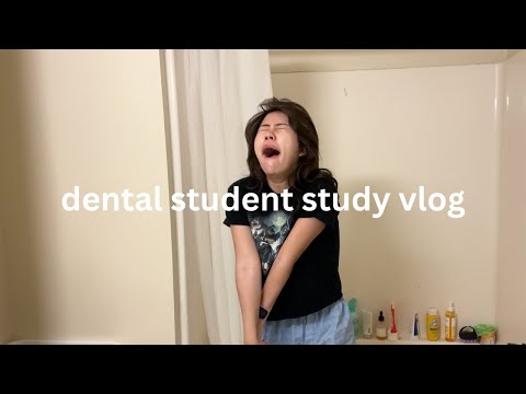 final exams study vlog
