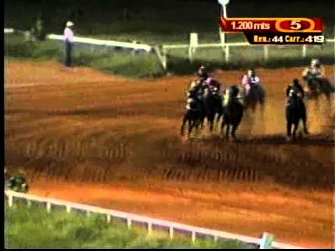 Resumen Viernes, 28 de Noviembre de 2014  - Santa Rita