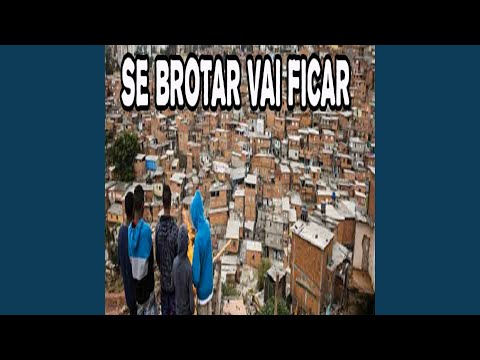Se Brotar Vai Ficar