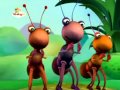Big Bugs Band Oi Oi Oi