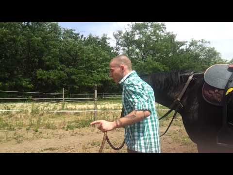 Hekiii - Várlak km. Atesz (Így készült)