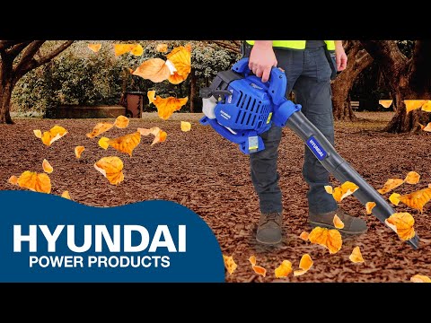 Leaf Blower - Image 2