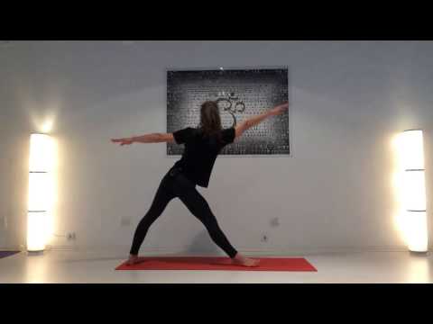 Practica de Ashtanga Yoga con Cosmin Yogi