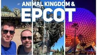 WALT DISNEY WORLD - DAY 4 - ANIMAL KINGDOM  | YAK & YETI LUNCH | EPCOT