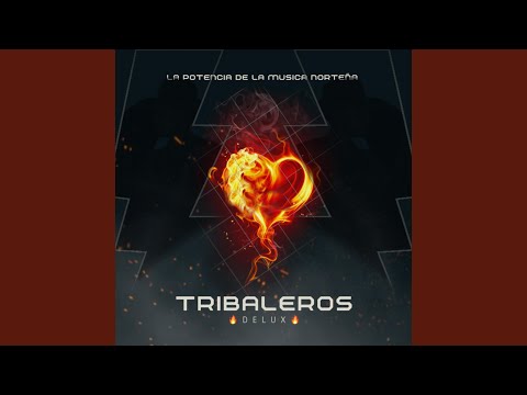 El Cascabel (Tribal)