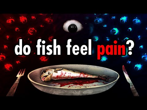 How Fish is Made: The Game That Perfected Surreal Horror