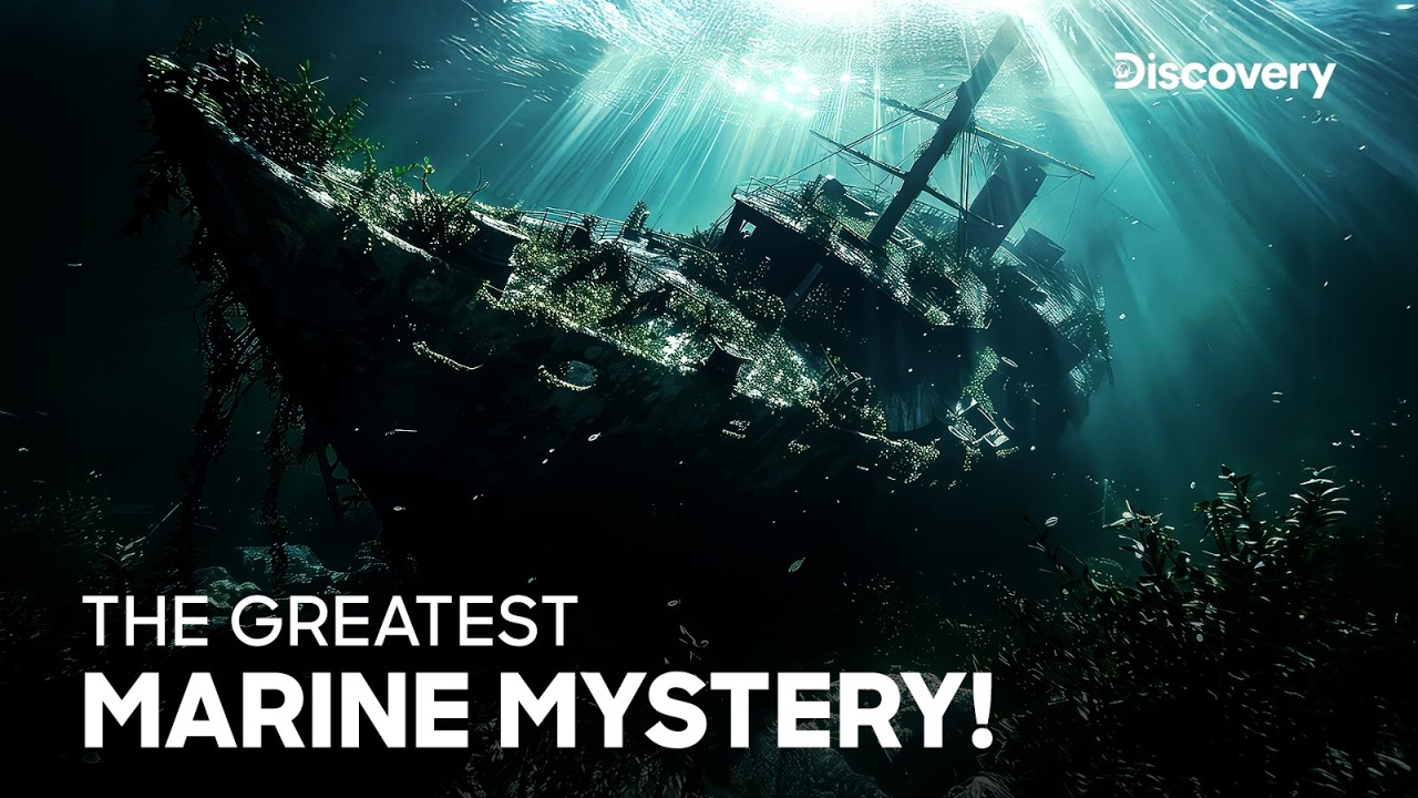 A Mysterious Light In The Bermuda | Curse of the Bermuda Triangle | Discovery Channel