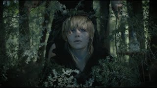 Jordann Funk – “tsuga”