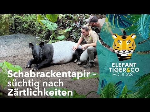 ETC Podcast: Süchtig nach Zärtlichkeiten | Elefant, Tiger & Co. | MDR