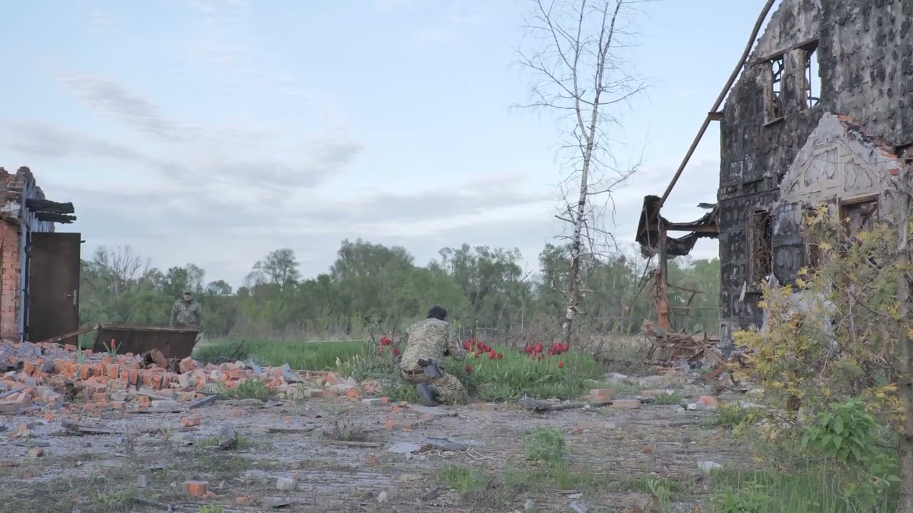 It's not a full picture