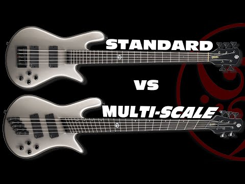 Multi-Scale vs Standard Scale