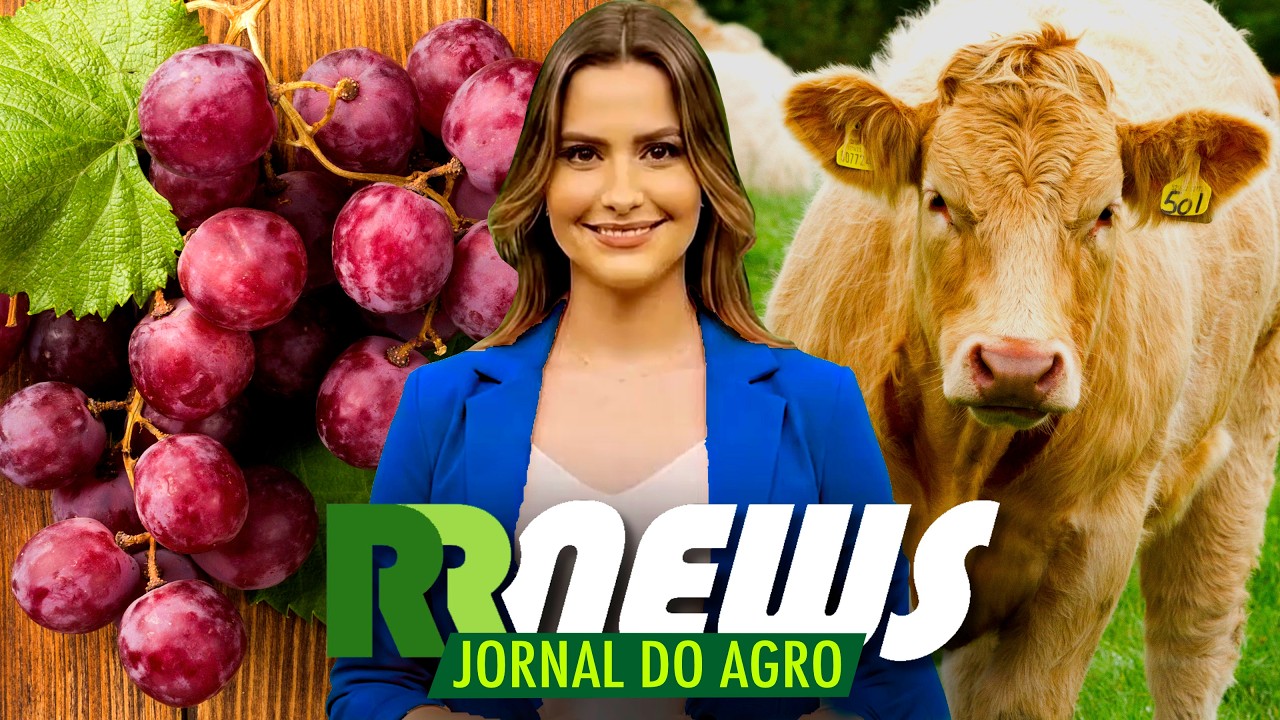 RRNEWS - O Jornal do Agro - 10/10/2026
