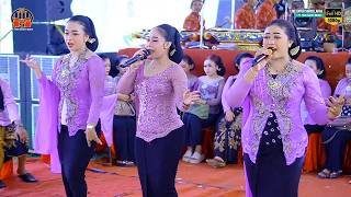 Download lagu Live TAYUB GLERRR SURYO LARAS TRENGGALEK ||*|| PT. YAPA SANDY MEDIA KONDANGNYA TAYUB INDONESIA mp3